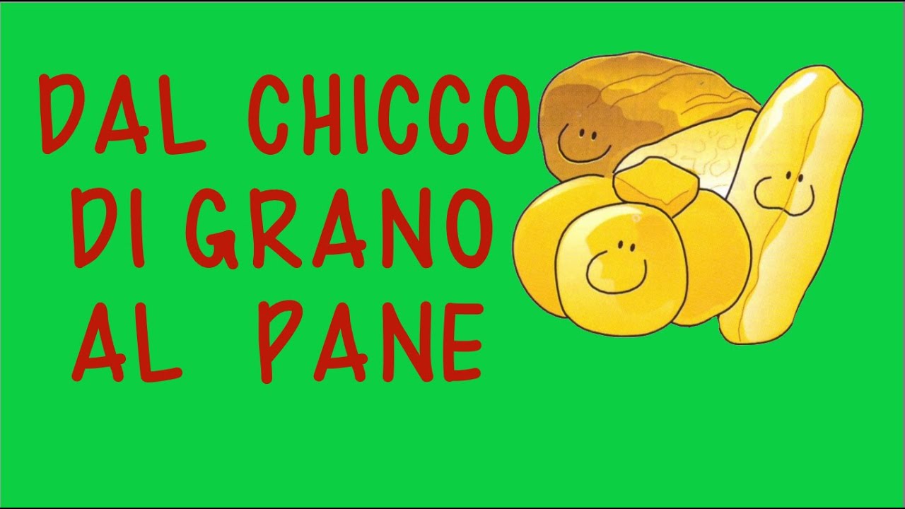 DAL CHICCO DI GRANO AL PANE-