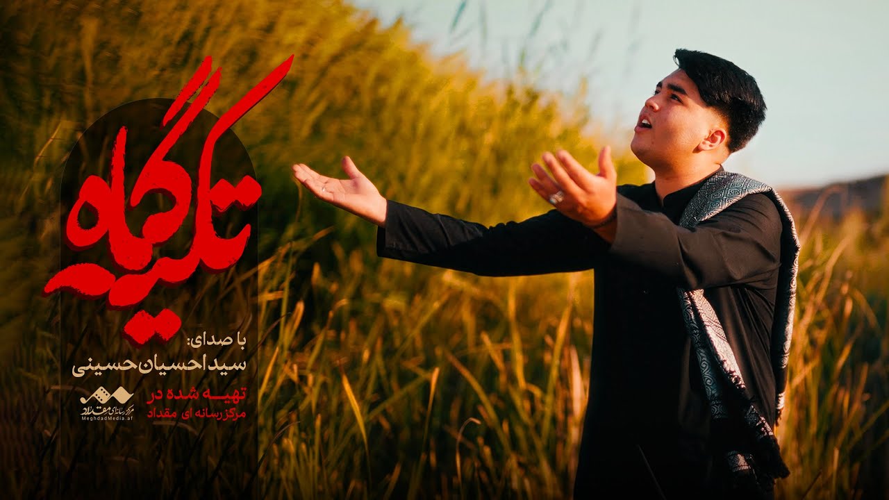 جدید ترین نوحه افغانی اربعینی | سید احسان حسینی | تکیه گاه