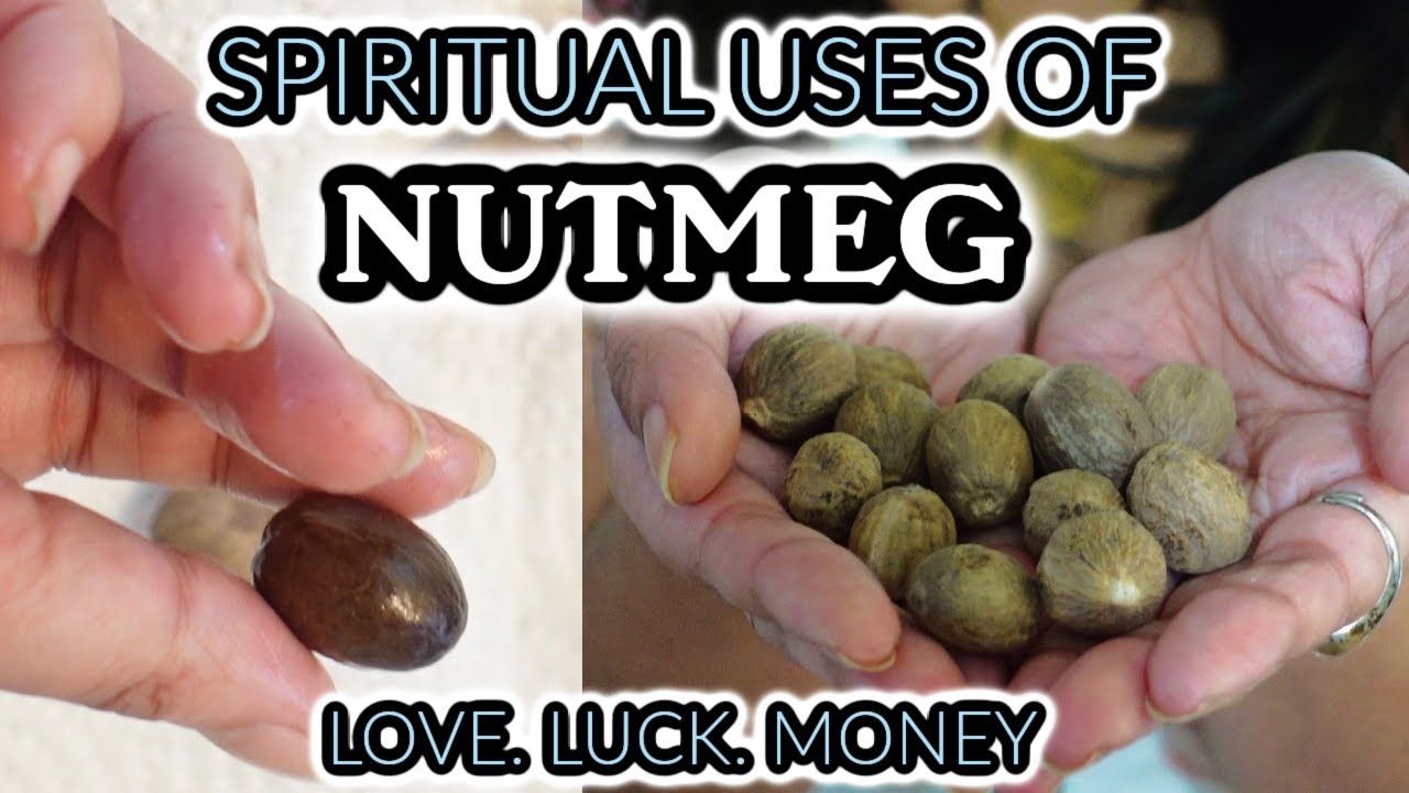 NUTMEG SPIRITUAL USES FOR LOVE, LUCK AND MONEY 🌱 A POWERFUL SEED FOR MANIFESTATION