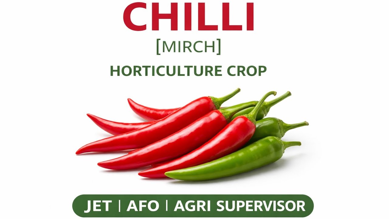 Chilli (Mirch) | Horticulture | JET | Agriculture Supervisor | AFO | Competitive Exams