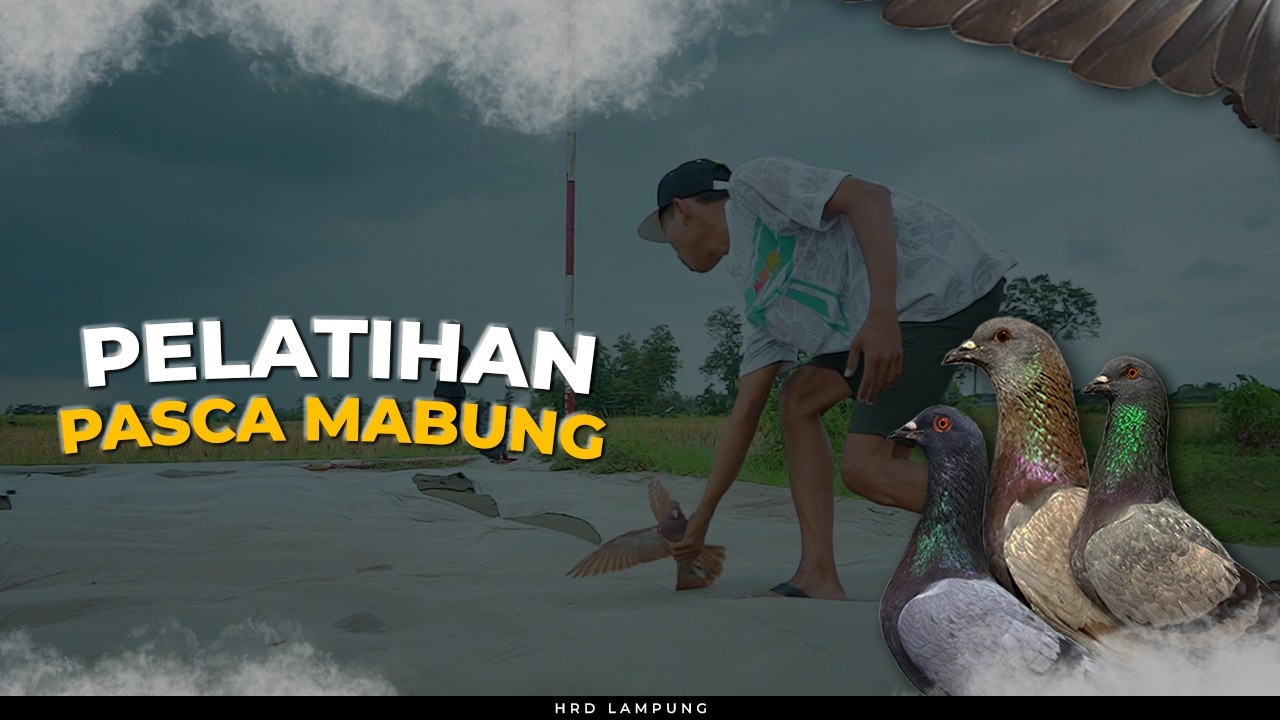 PELATIHAN PLAYER PASCA MABUNG | TEAM HRD LAMPUNG