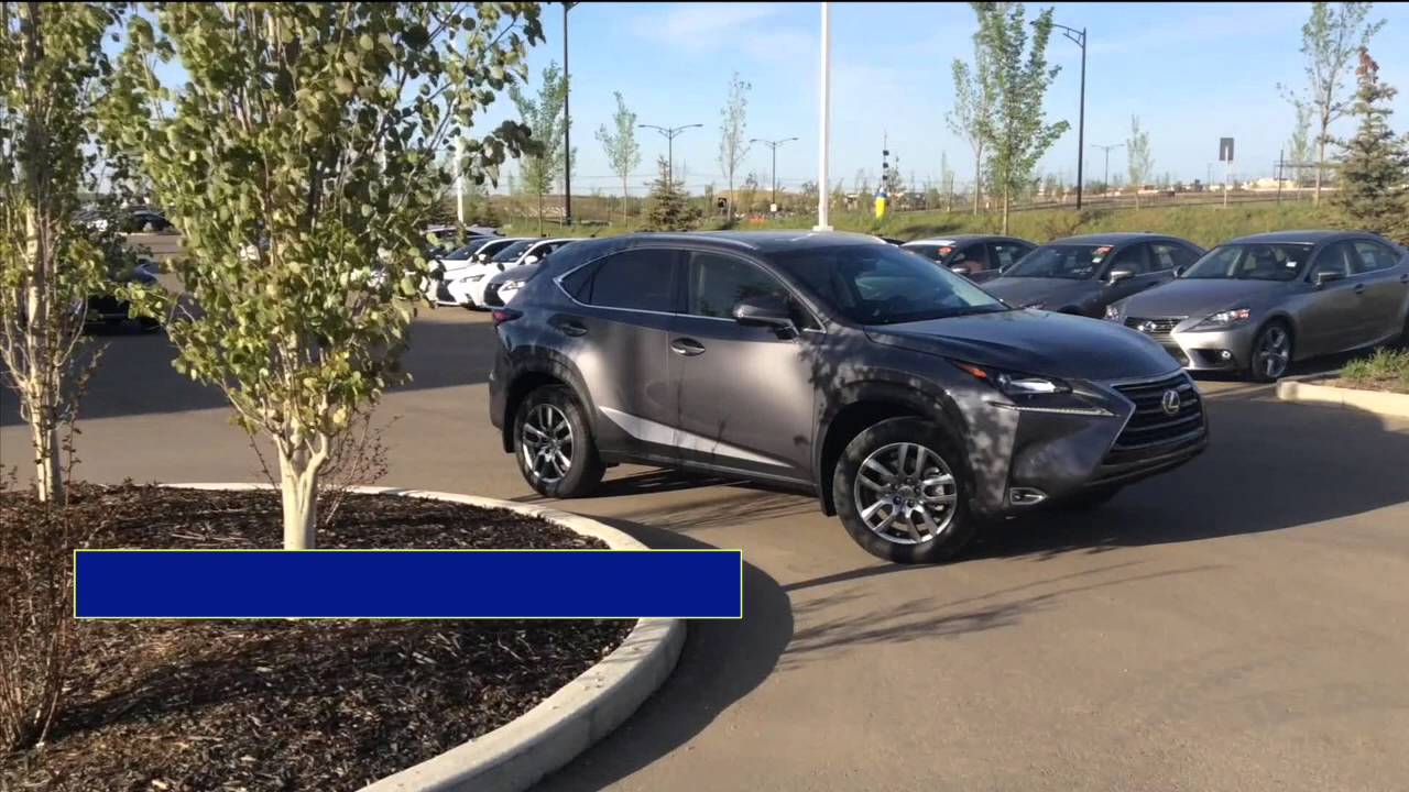 Lexus South Pointe - Trade Up Event