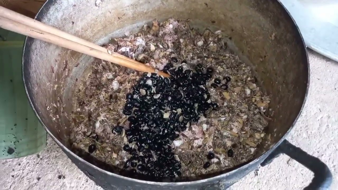 Hôm nay gia đình mình làm món Khâu Nhục Đặc sản Lạng Sơn mọi người ạ ,lên màu đẹp cực @BÁCH NÙNG TV 