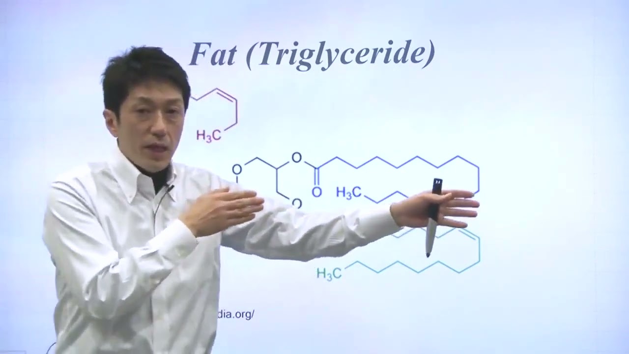 Unit 11 Part 7   Replacing Fat with Olestra