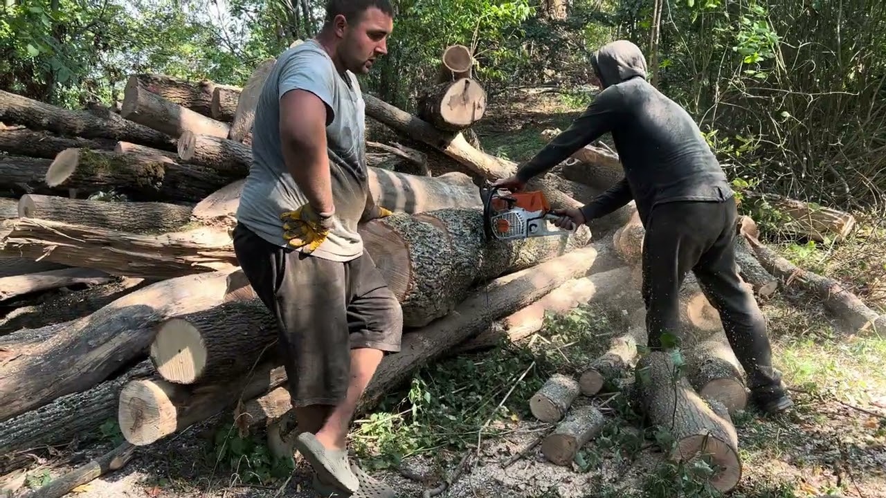 16 вересня 2023 р.🌲STIHL MS462C-M💪💪💪👍