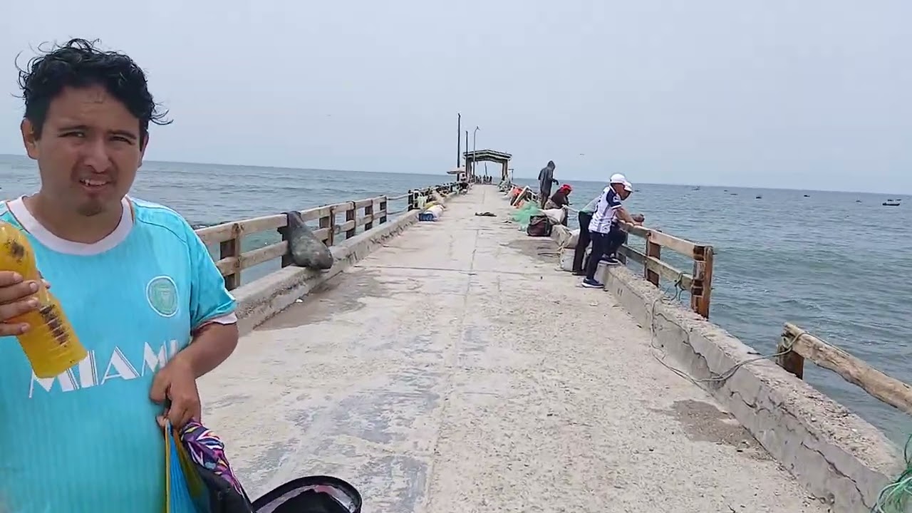 Nueva Cultura. Muelle de Tambo de Mora Provincia de Chincha