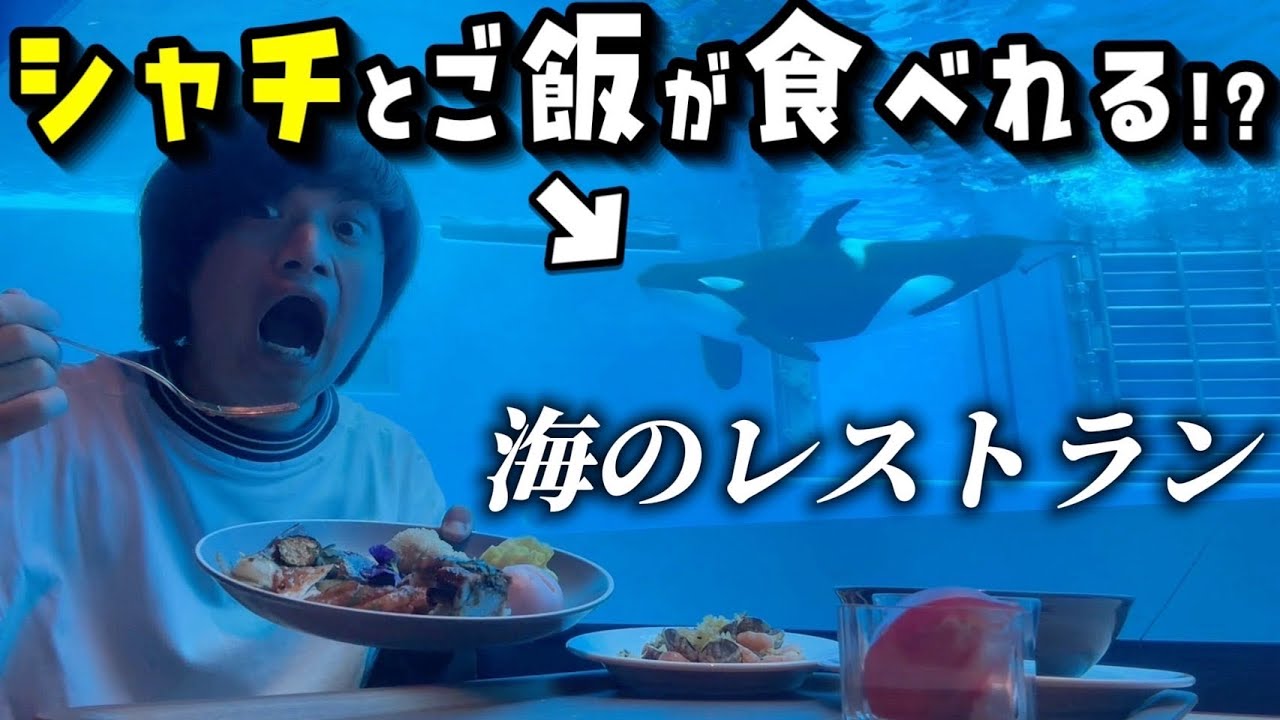 【神戸須磨シーワールド】リニューアルオープン!!シャチが観れるレストランがヤバすぎる!!【VLOG】