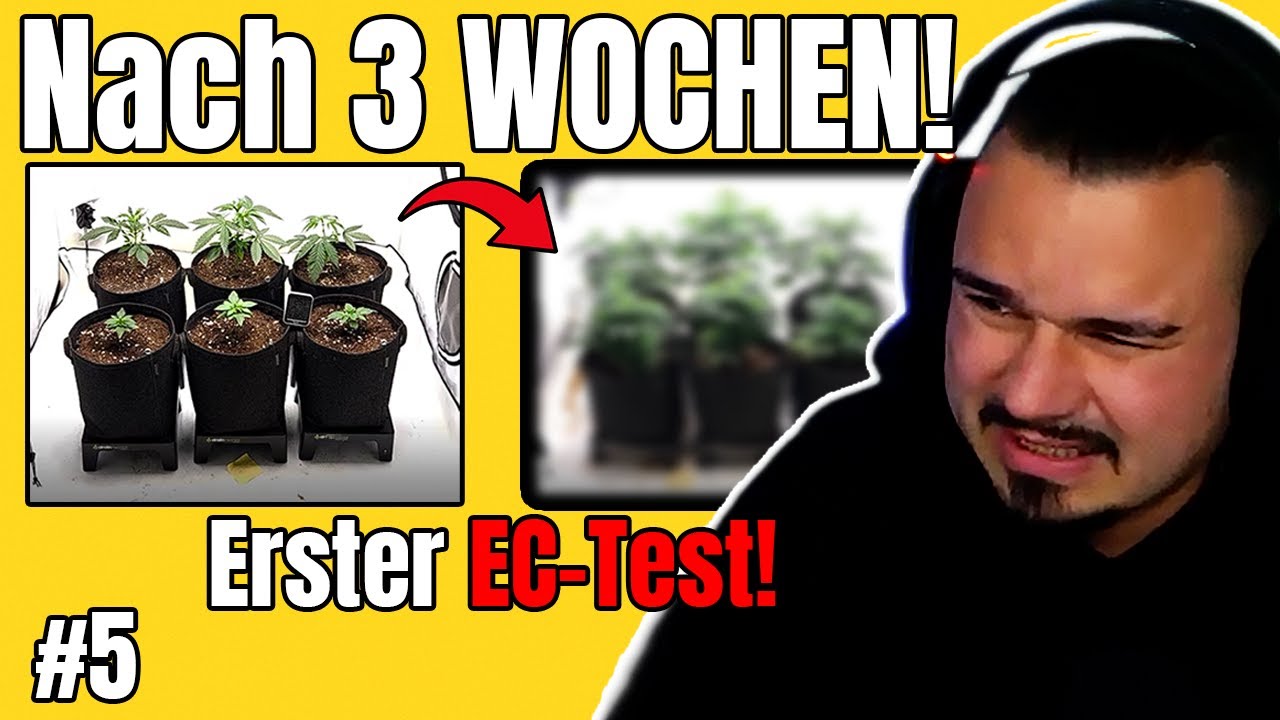 3 Wochen WEG&hellip; 😳 So sah mein Grow danach aus | Erster EC-Test! | Grow Tagebuch #5