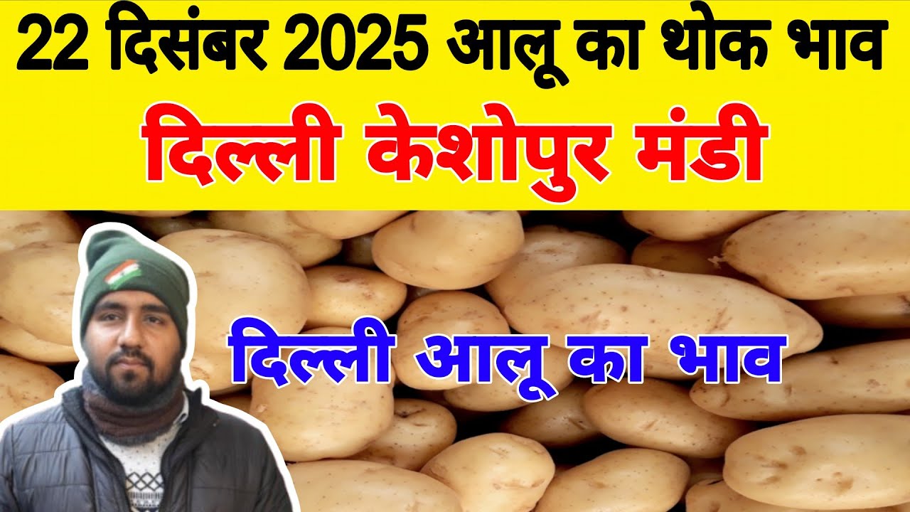 दिल्ली आलू का भाव | 🥔potato market price today | Today Potato Price | 22 Dec 25 