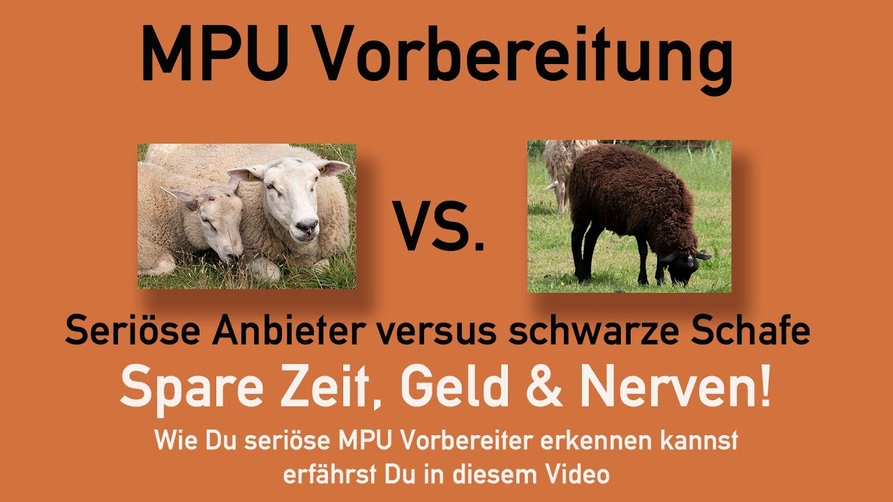 MPU Vorbereitung, schwarze Schafe vs  seriöse Anbieter