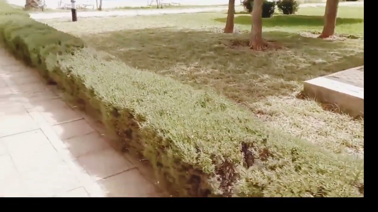 مركز الاصطياف للسككيين بي مراكش #مركز الاصطياف للسككيين #مراكش #العطلة_الصيفية #يوتيوب