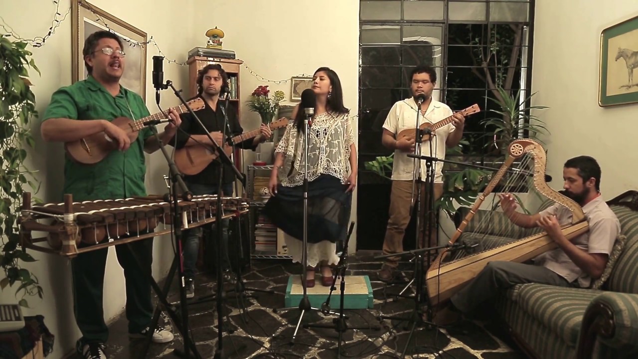 EL GALLO (live session)Son Jarocho- Lalo Jaranas y El Colectivo Fandanguero