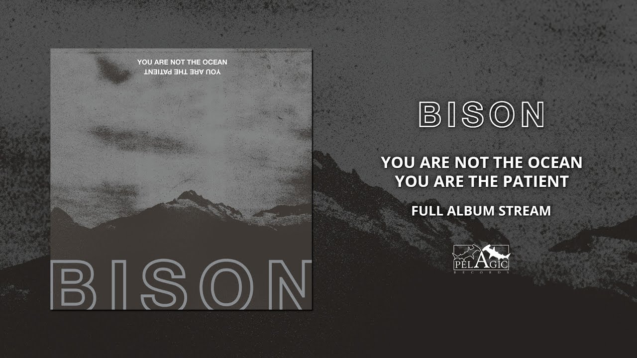 BISON - You Are Not The Ocean You Are The Patient (Full Album)