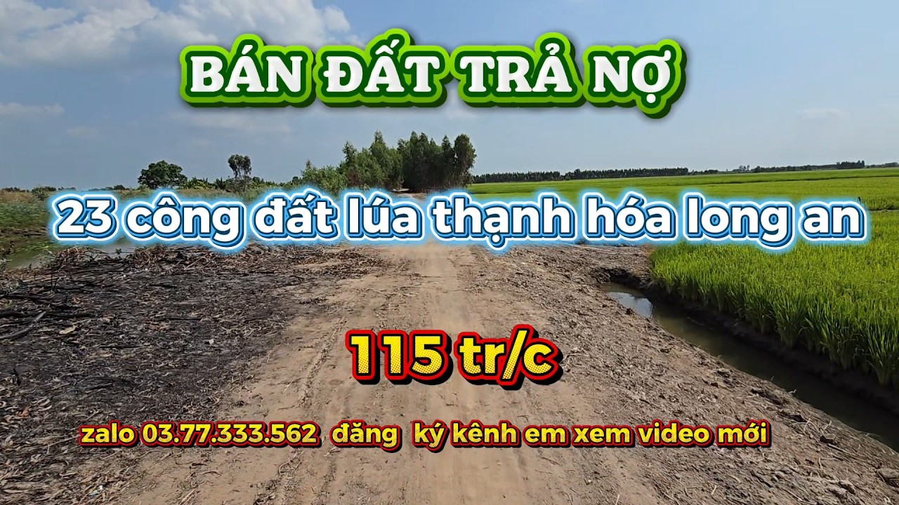 Bán  23 công đất làm lúa  siêu  trúng, nước  ngọt  quanh năm  sài gòn 65 km ,xe tải chạy