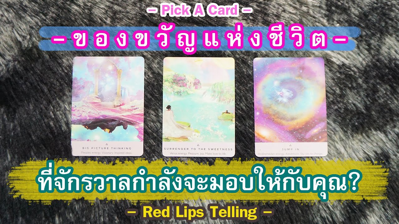 Pick A Card : ของขวัญแห่งชีวิต ที่จักรวาลกำลังจะมอบให้กับคุณ? [ Timeless ]