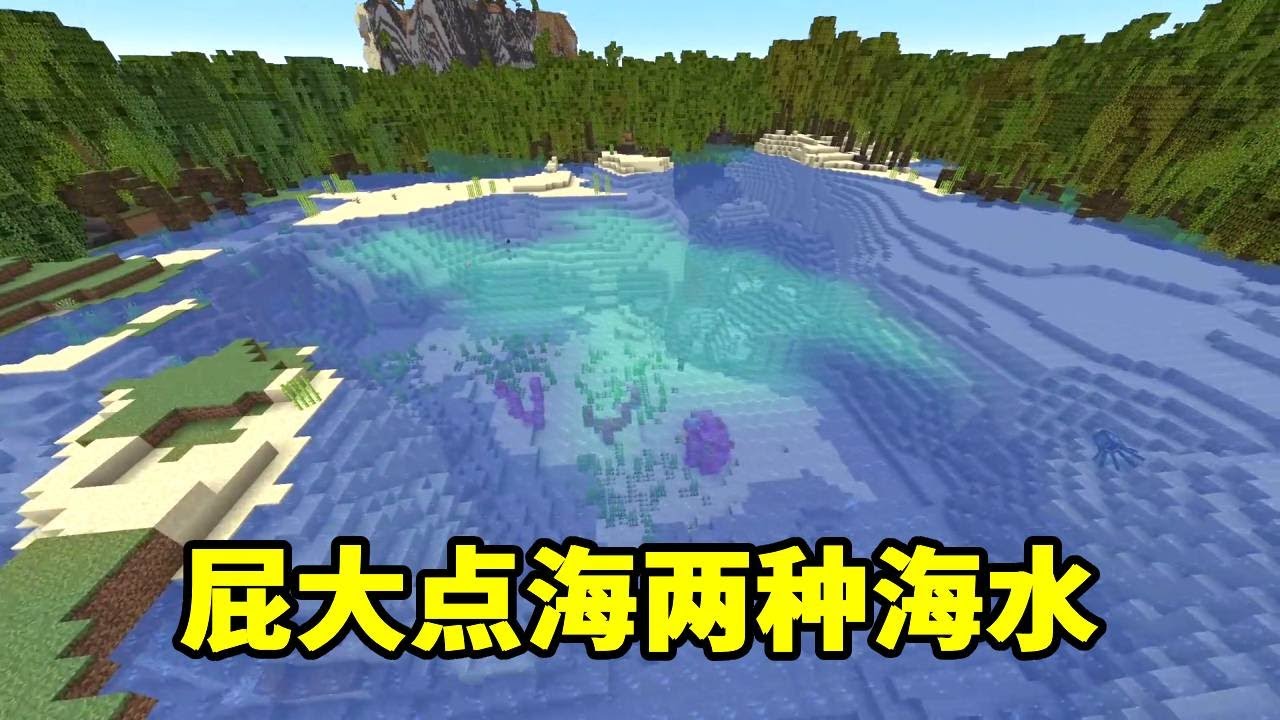 我的世界：哥几个投稿的种子能有多奇葩？屁大点海，生成两种海水！还有俩珊瑚！【我叫麦块狐】