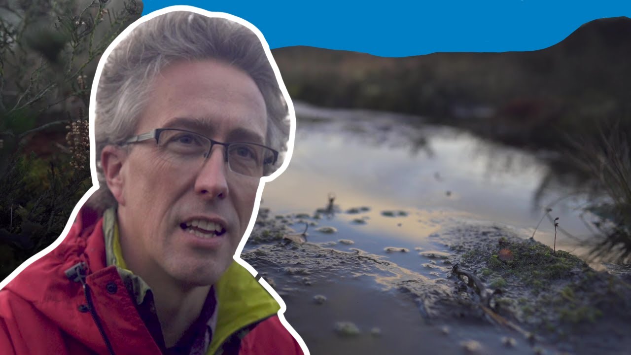 Protect Scotland's peatland