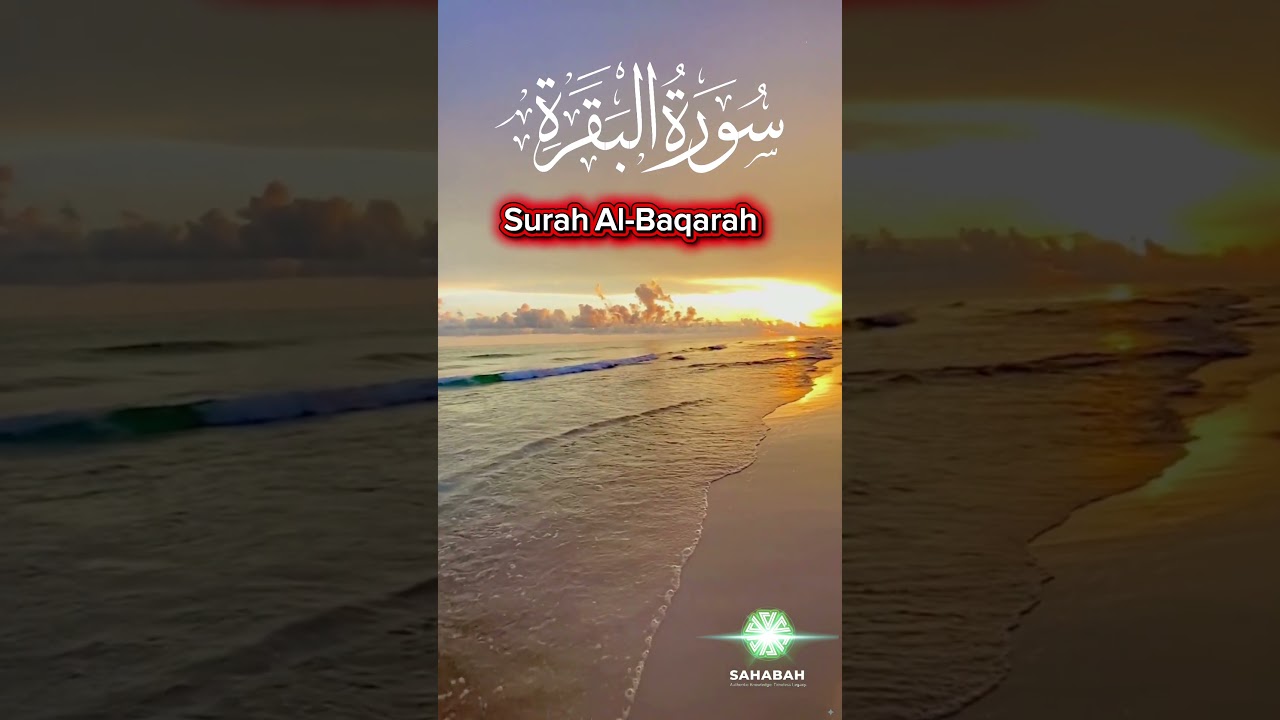 Beautiful Recitation Surah Al-Baqarah Part 1 🌅 