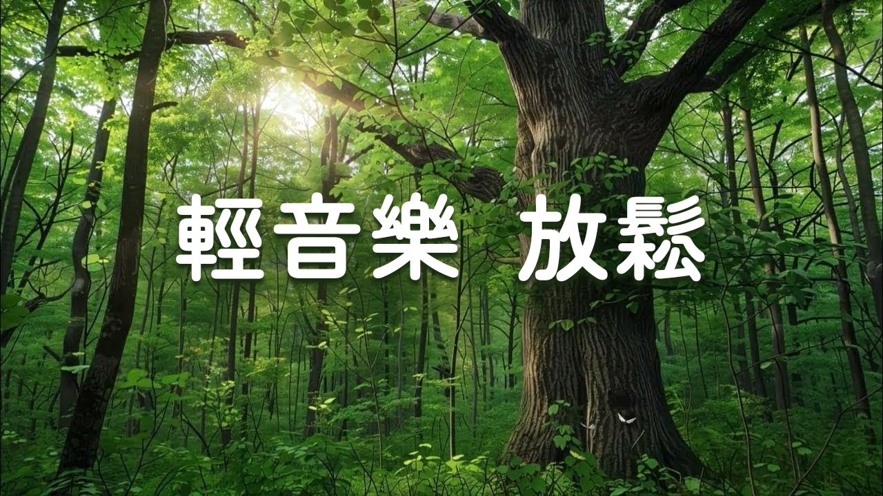【100%無廣告 】一聽就放鬆的治療音樂冥想舒緩按摩時刻 - 放鬆・療癒・睡眠・學習・工作・居家時光・旅行