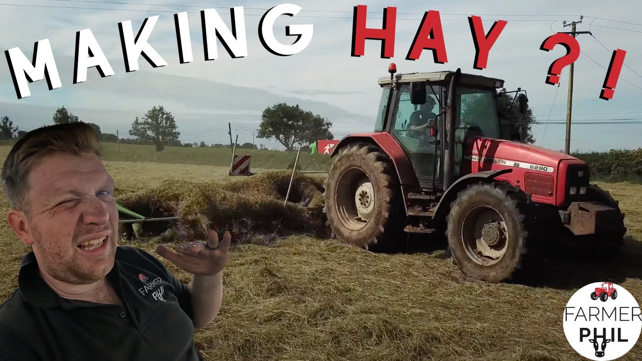 CAN WE SAVE HAY ?!