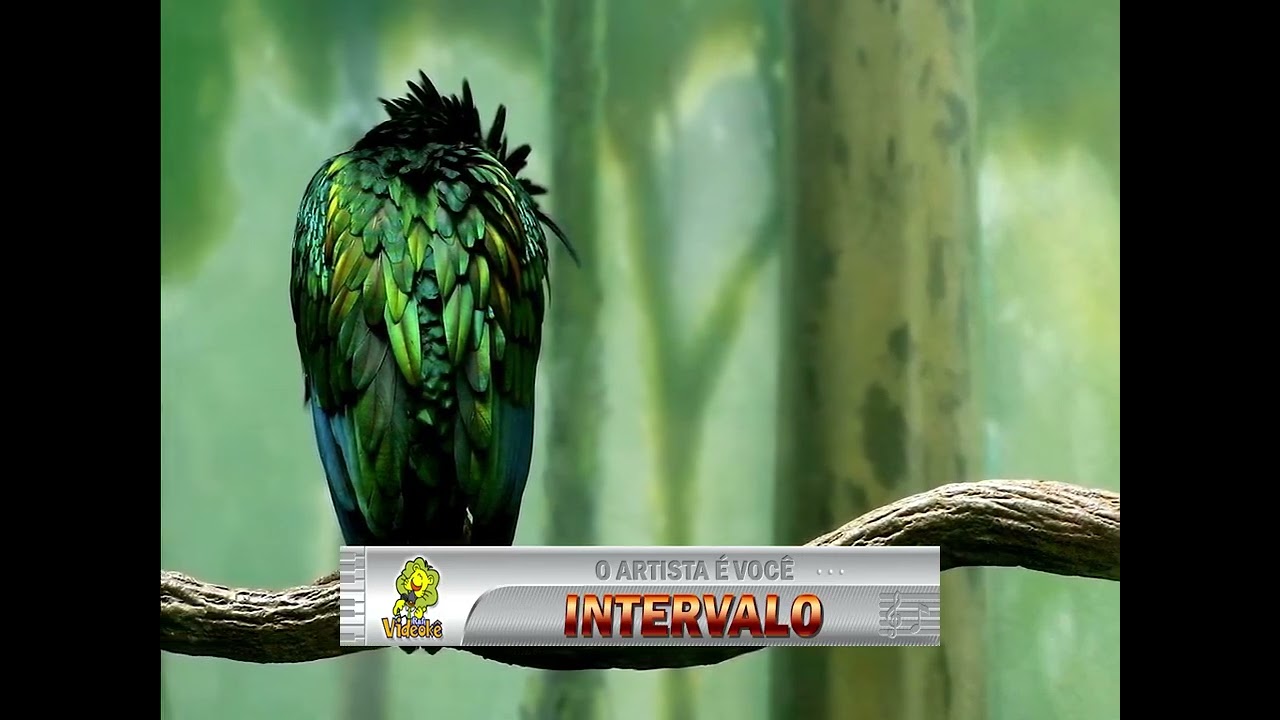 02585 - Seal - CRAZY -==Karaoke&ndash;Videoke  - Playback &ndash; Raf electronics