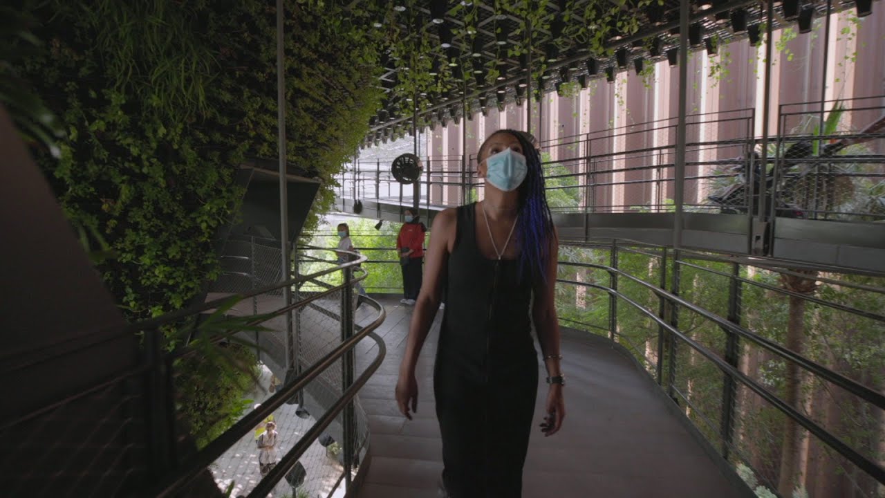 BBC Travel Show - Dubai: Vision of the future