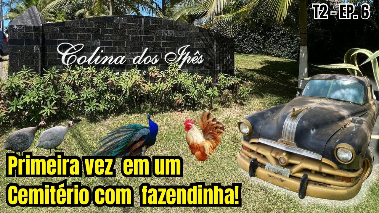 Cemitério Colina dos Ipês | Suzano - SP