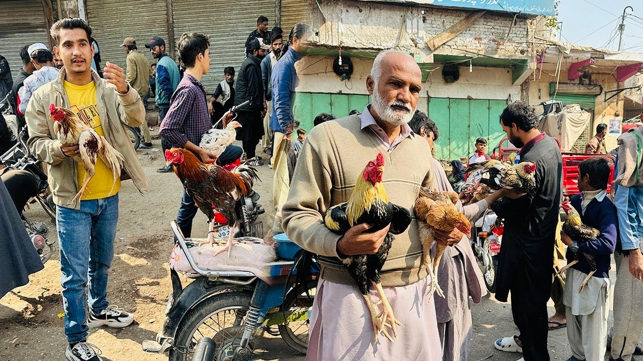 Murgi Ko Mandi La Gye 😱 Hamara Saat Aisa Q hota he 😨