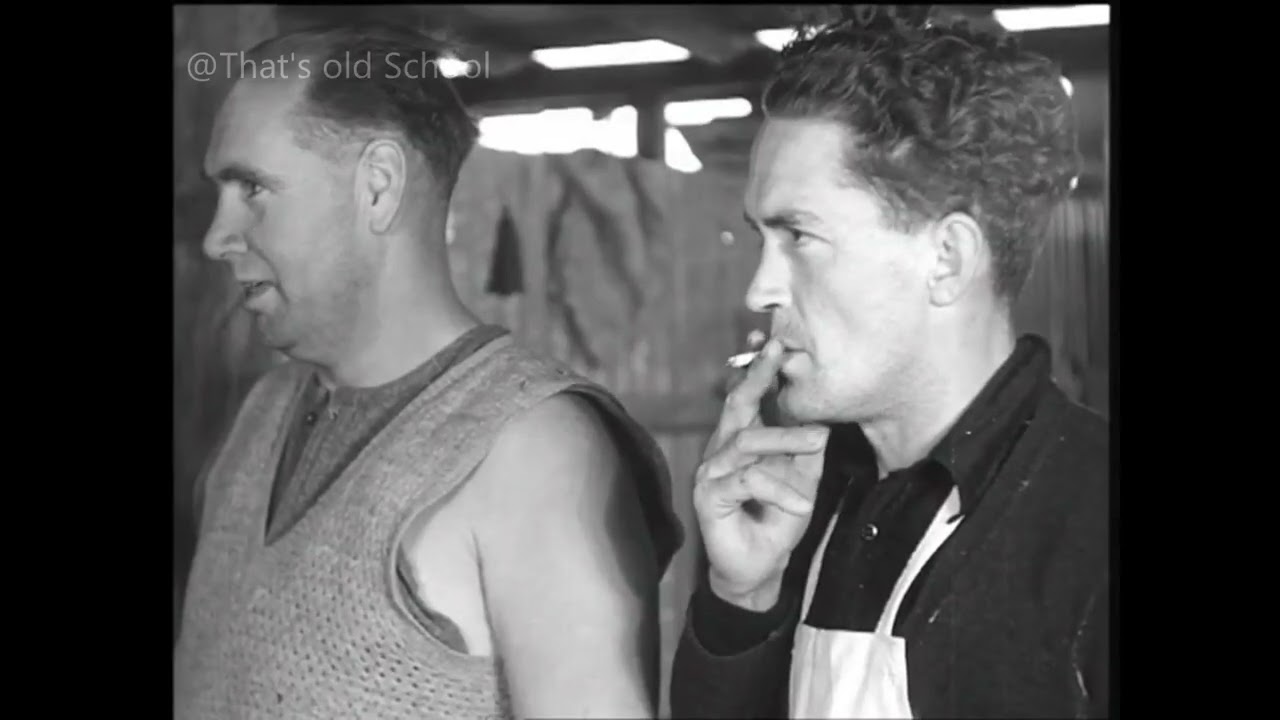 Archive film: Shearing sheep in Australia (1950)