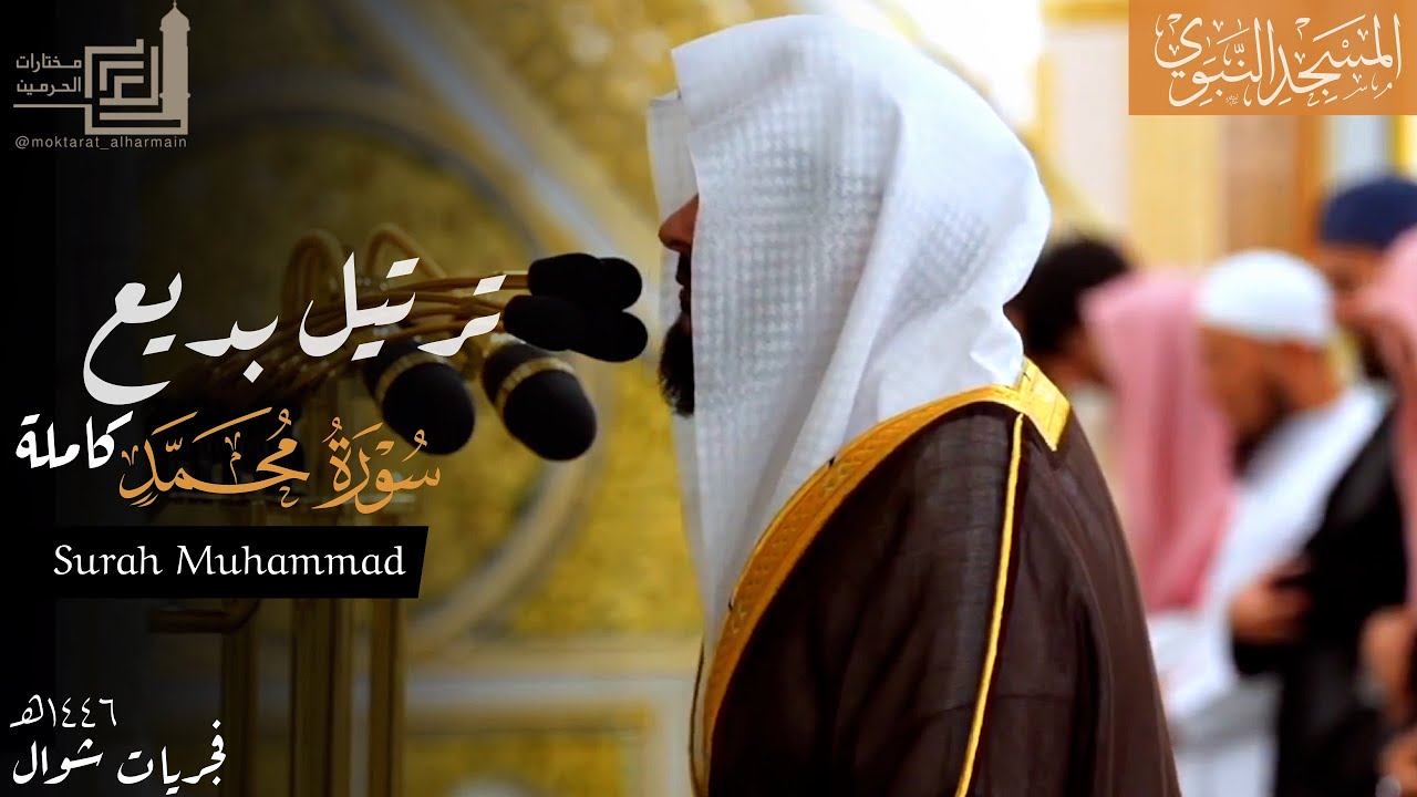 سورة محمد كاملة بترتيل بديع للشيخ د. عبدالله القرافي ~ من فجريات شهر شوال 1446هـ | Surah Muhammad