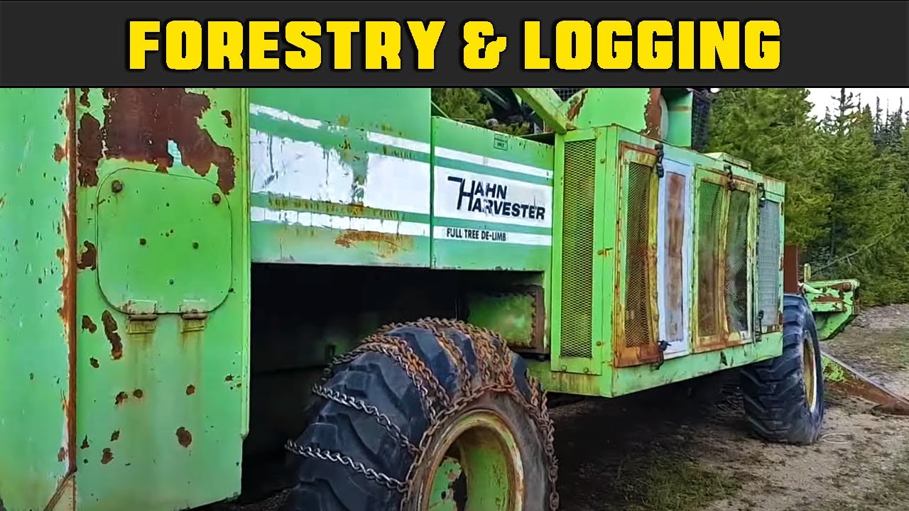 Found An Old Abandoned Hahn Harvester Full Tree Delimber !
