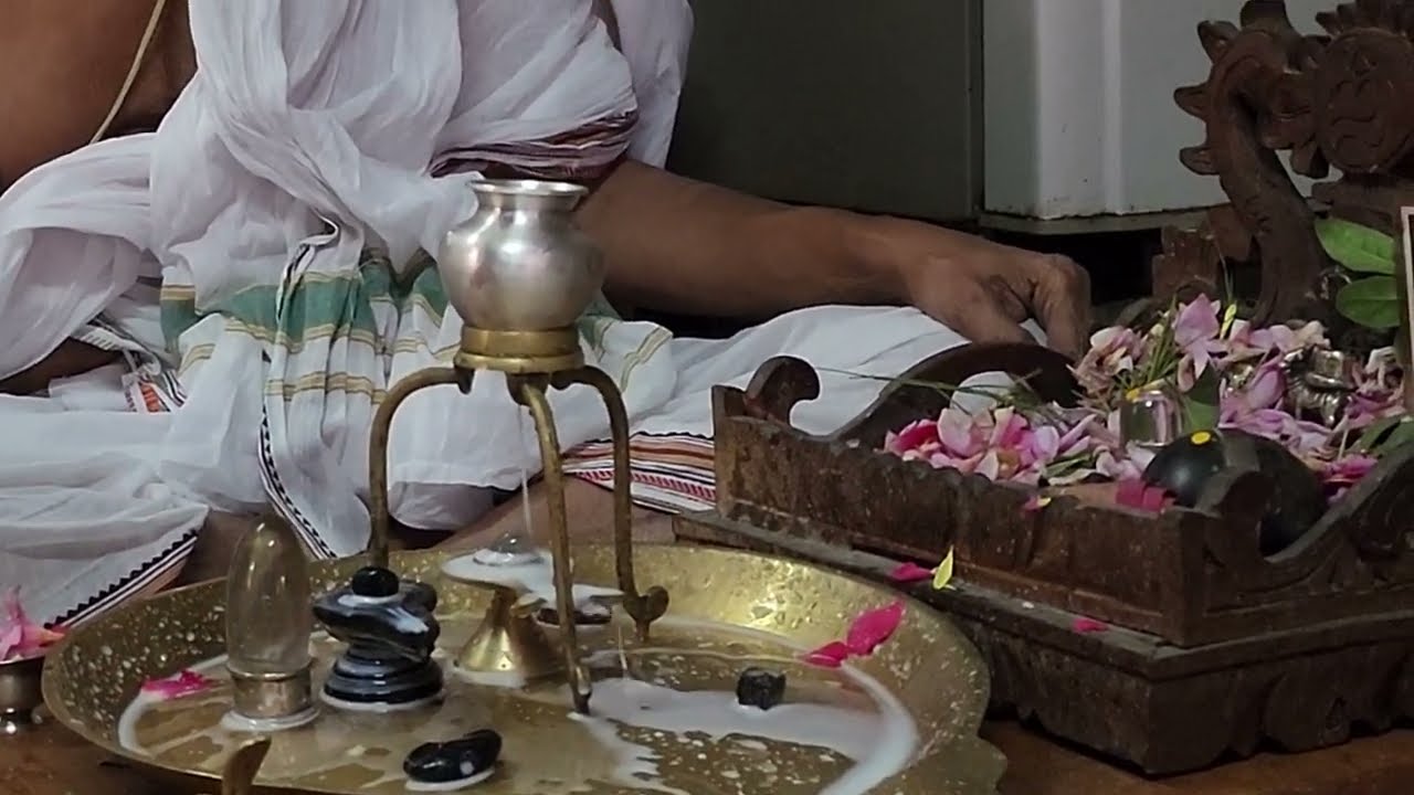 Rudra Ekadasini | Brahmasri Sekar (Subramania) Deekshitar | Aathu Vaadyar | 17 December 2022