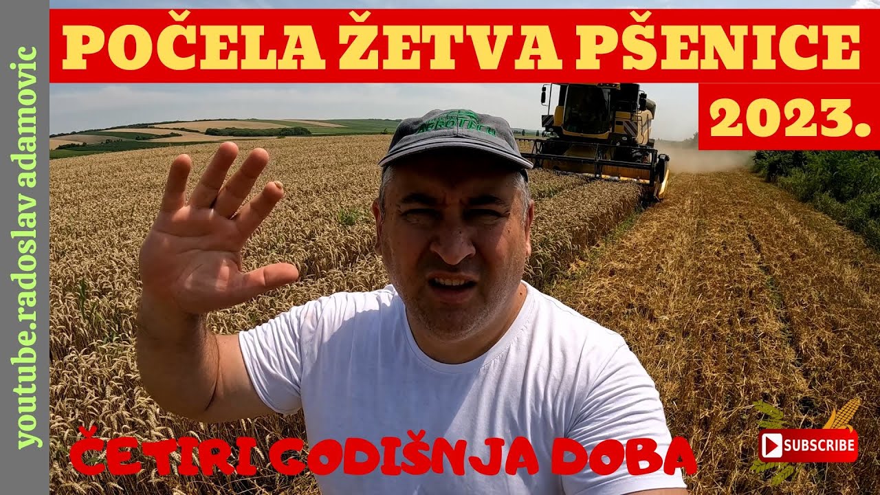 POČELA ŽETVA PŠENICE 2023: ČETIRI GODIŠNJA DOBA; WHEAT HARVEST 2023: THE FOUR SEASONS