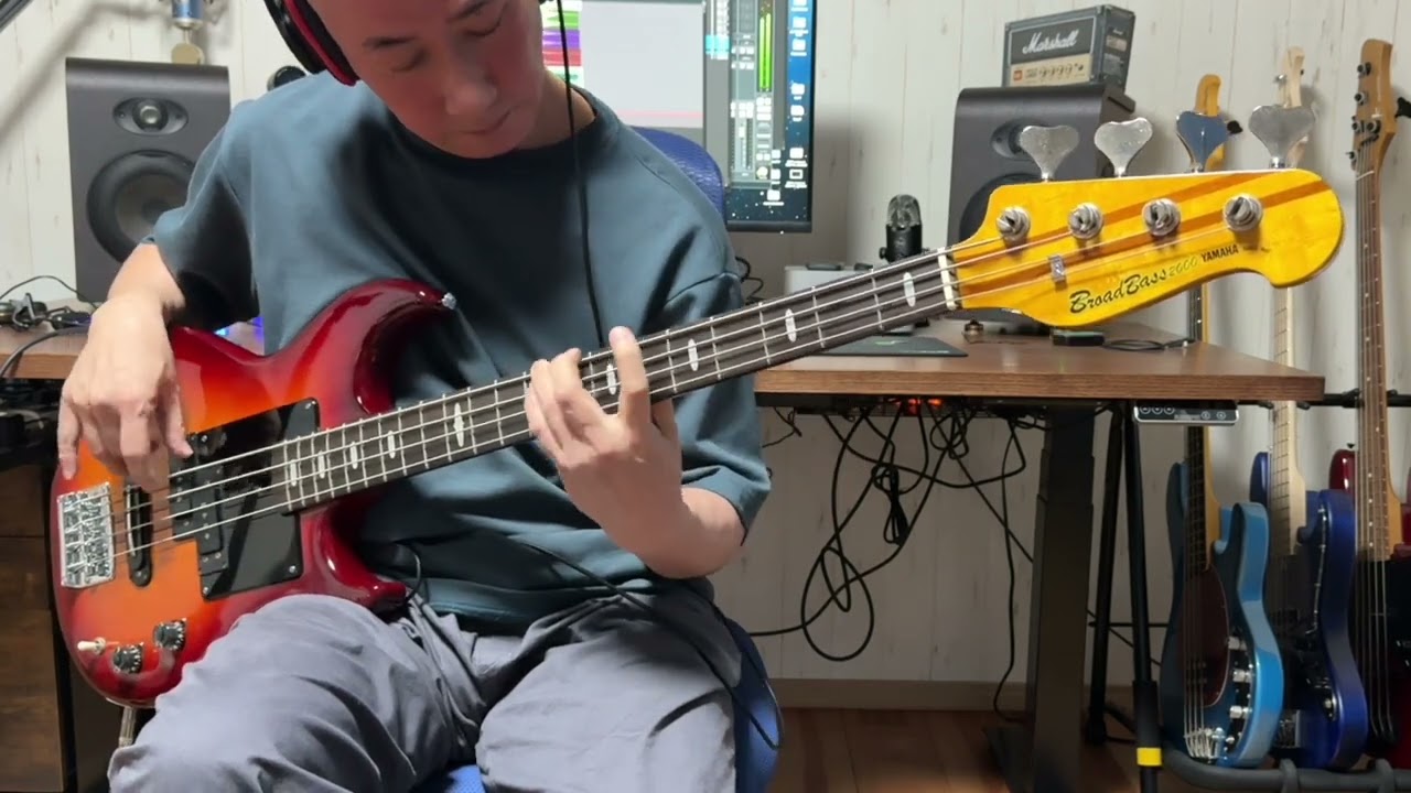 Belinda Carlisle - Heaven Is A Place On Earth (Bass cover)