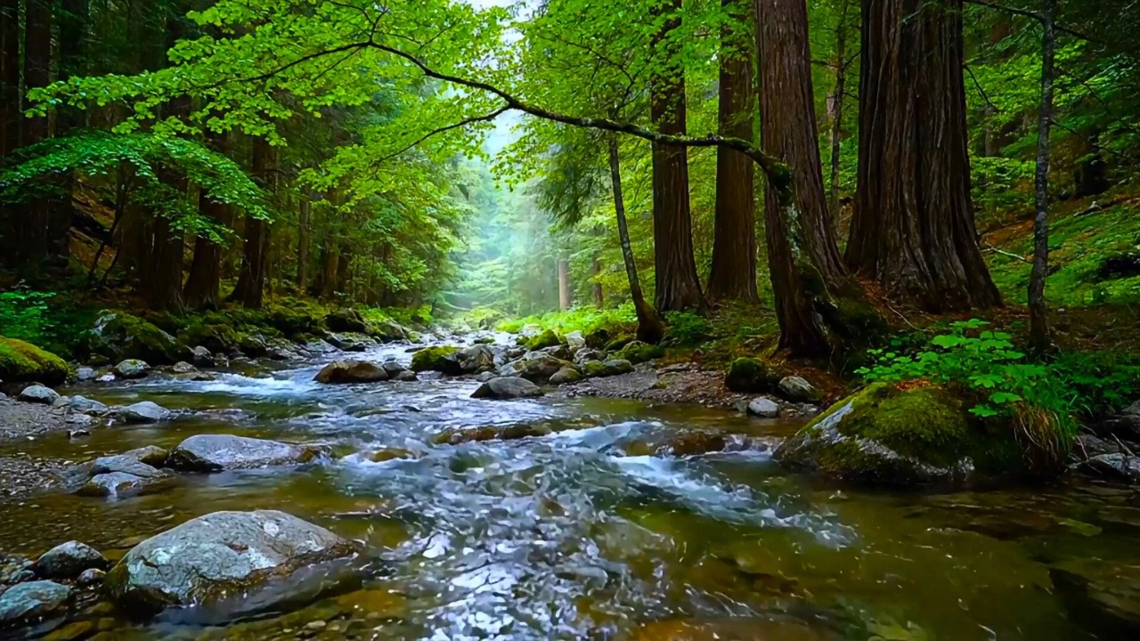 Deep Sleep Instantly - Peaceful Relaxation with Forest Stream & Birds | Calm Nature Night Soundscape