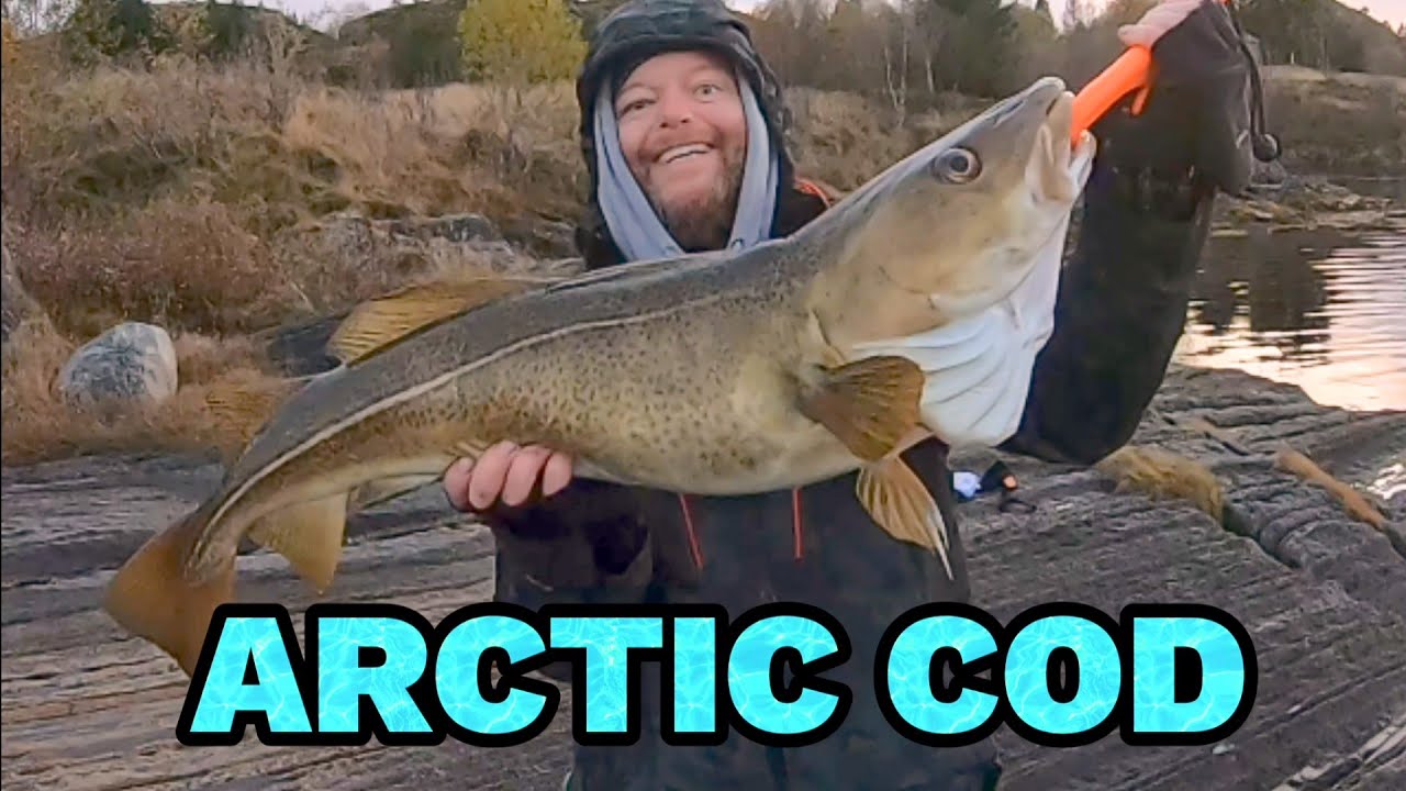 Surf casting in arctic Norway