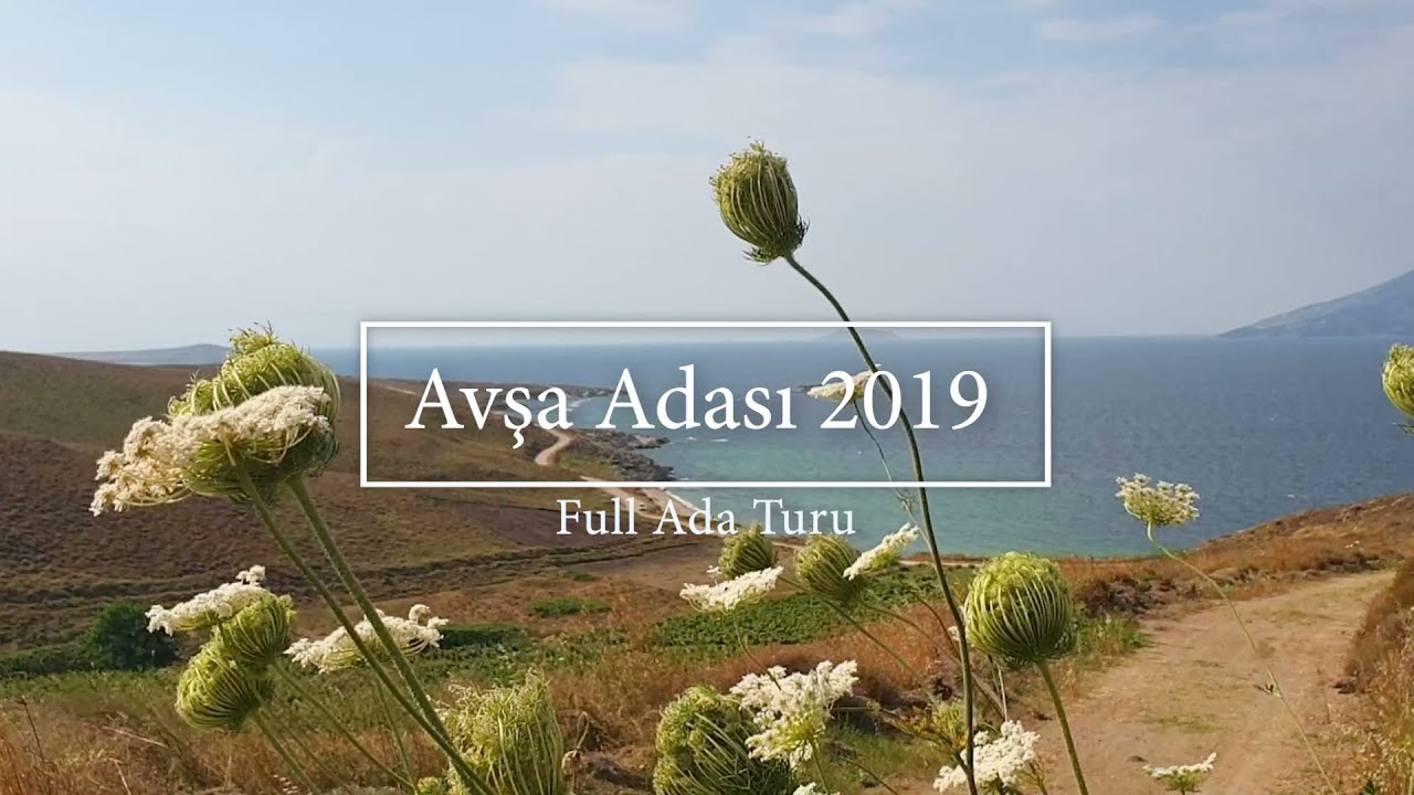 Avşa Adası 2019 - Full Ada Turu
