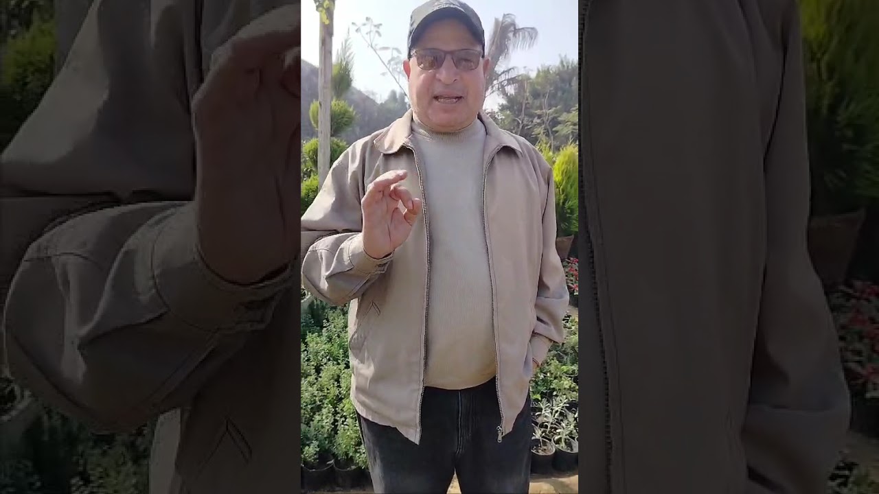 بتعاني من امراض في الرئة وجيوب أنفية لزم تتناول نباتات طبيه عطرية 