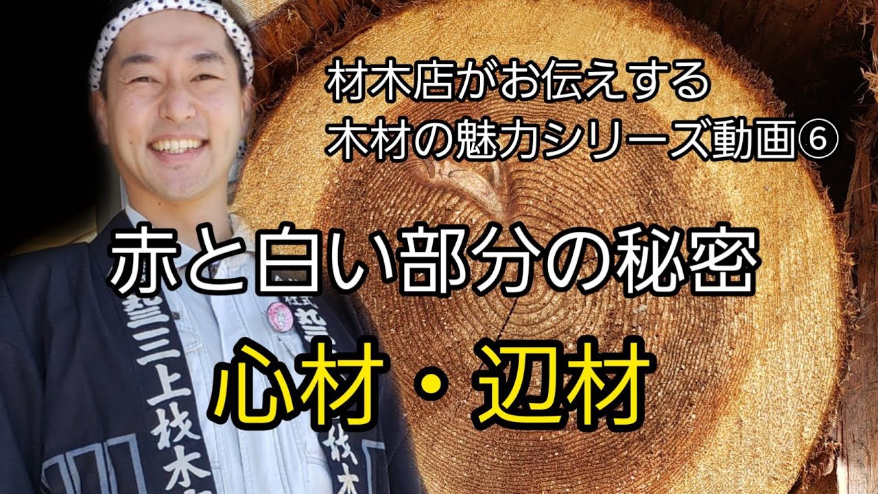 木の辺材・心材について【必ず抑えるべき木材の名称】材木店がお伝えする木材の魅力シリーズ動画⑥