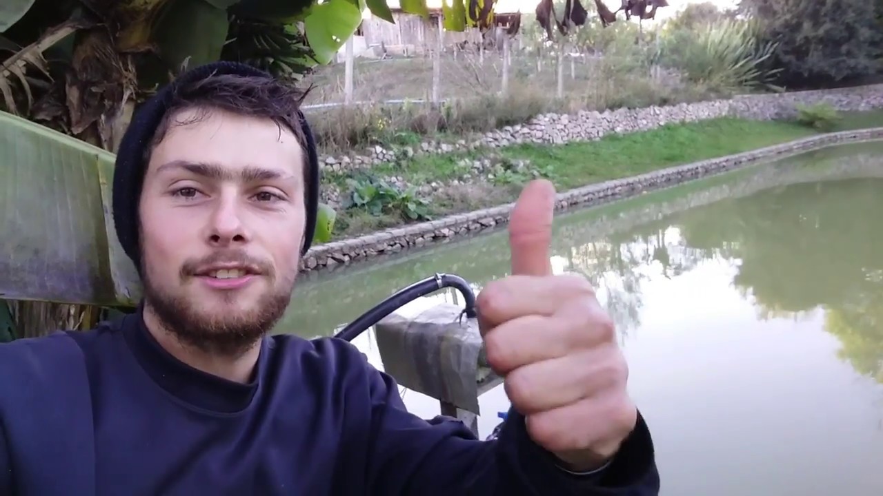 Meu sistema de adubação a fertirrigação nos morango como eu faço detalhes