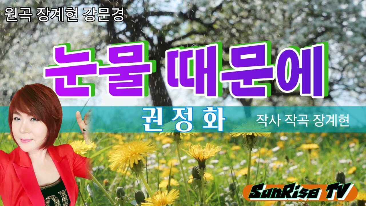 권정화【커버곡】#눈물때문에        [원곡 강문경 서주경 장계현]