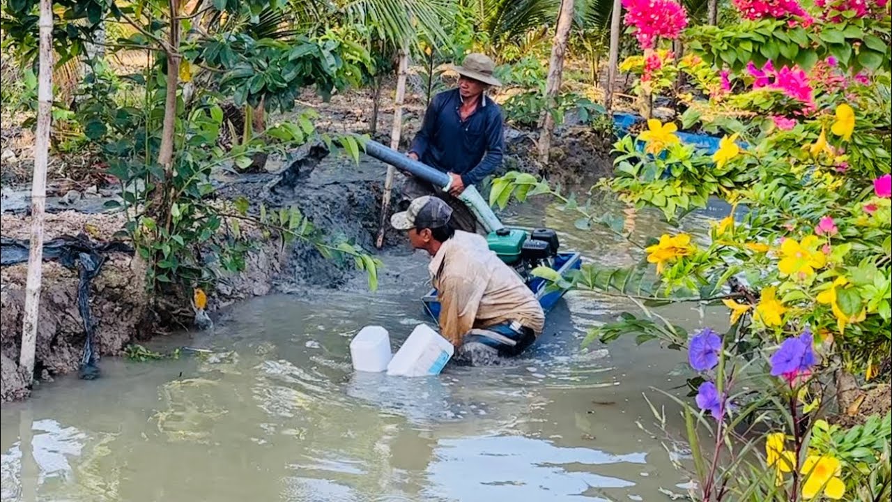 Đang Bơm Bùn Bất Ngờ Có Cuộc Gọi Anh Sáu Về Gắp Phải Tạm Ngưng Công Trình |Hương Trúc Miệt Vườn 