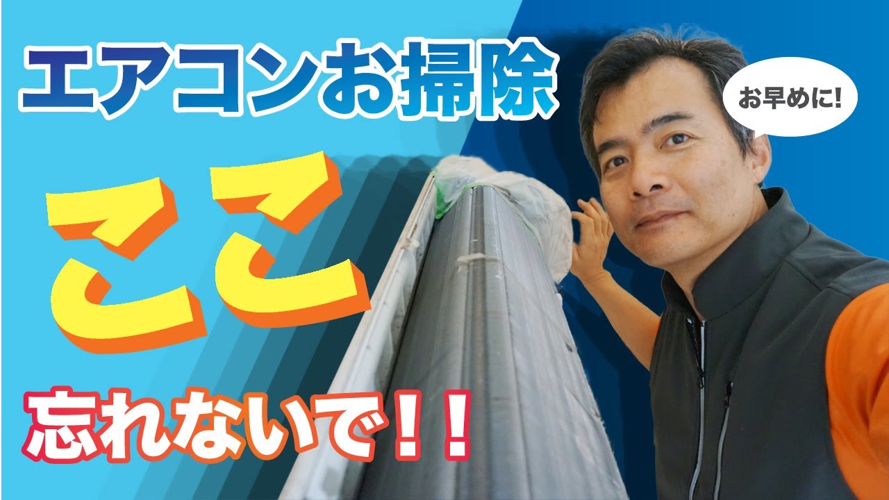 エアコンの裏側　そこはカビの巣窟だった