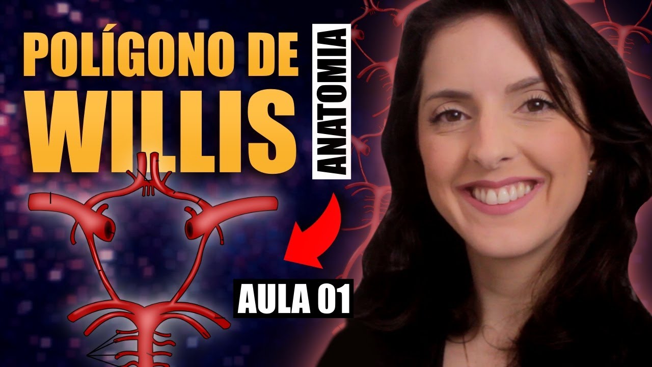 Anatomia Polígono de Willis: APRENDA AGORA  [Neuroanatomia] [aula 01/02]