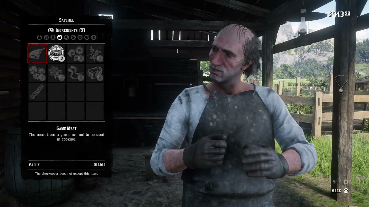 Red Dead Redemption 2_20260127202626