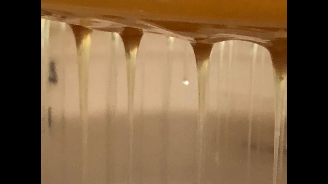 Thirsty Squirrel Farm & Apiary 2021 Spring Honey Extraction