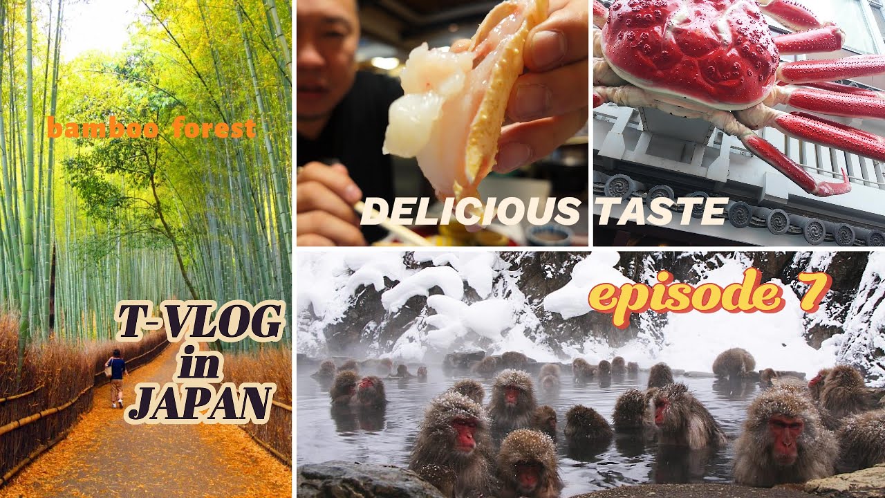 Japan monkey park. Bamboo forest .king crab