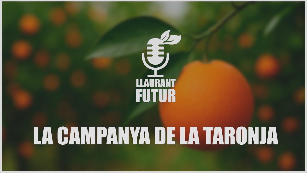 LLAURANT FUTUR | Capítol 1 | Cítrics