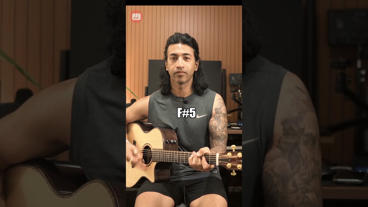 Can you IDENTIFY this song???