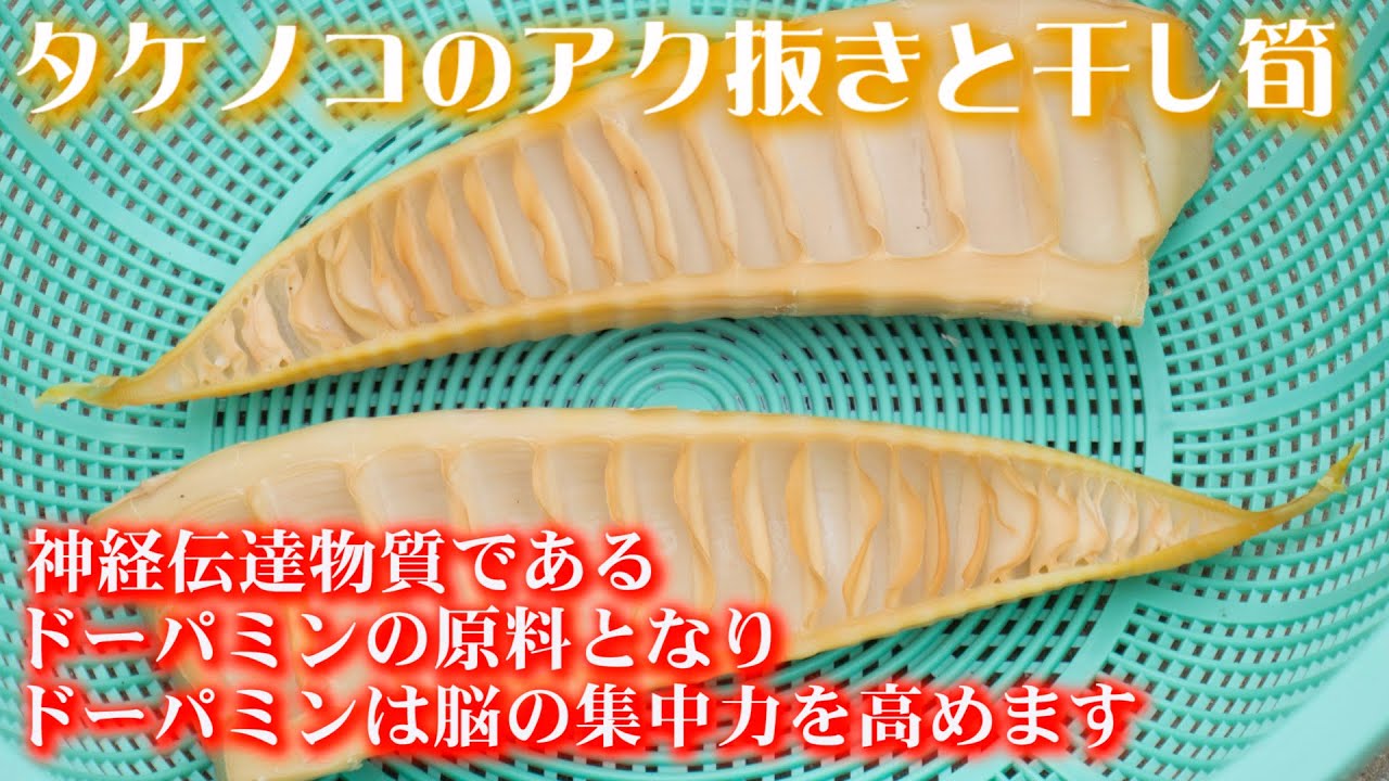 干しタケノコの作り方😄発酵や干し筍が本格メンマ作りへの布石に!